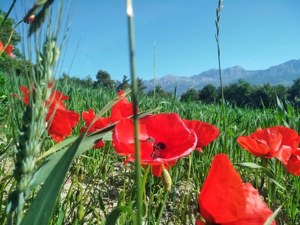 Holiday home Villa L'Epiclea, Chorges, Entre Lac Et Montagnes France